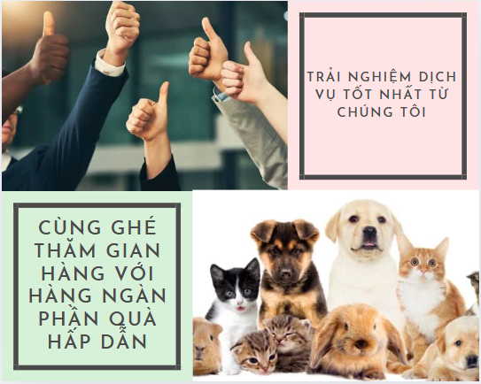 giới thiệu
