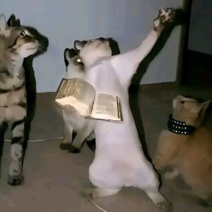 Liên hệ với chúng tôi