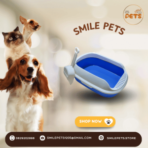 khay-dung-cat-ve-sinh-cho-meo