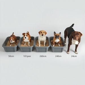 Chọn khay vệ sinh cho chó dùng cát theo kích thước