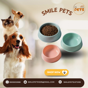 Bát Ăn Đơn Smile Pets – Nhựa Cao Cấp, An Toàn Cho Chó Mèo