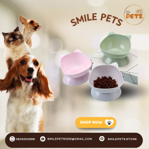 Bát Ăn Tai Mèo Smile Pets – Dễ Thương, An Toàn Cho Chó Mèo