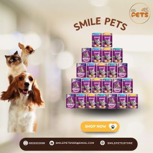 [Thùng 24 Lon] Pate Whiskas Mèo Trưởng Thành 400G