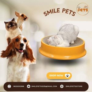 Bàn cào móng cho mèo khung nhựa cao cấp màu trắng với lõi giấy carton hình tròn.