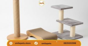 “Các kiểu thiết kế phổ biến trong cách làm đồ cào móng cho mèo”