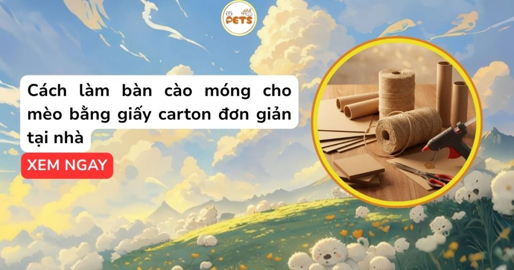 Cách làm bàn cào móng cho mèo bằng giấy carton đơn giản tại nhà