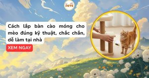 Cách lắp bàn cào móng cho mèo đúng kỹ thuật, chắc chắn, dễ làm tại nhà