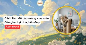 Cách làm đồ cào móng cho mèo đơn giản tại nhà, bền đẹp