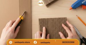 “Chuẩn bị giấy carton và dụng cụ cho cách làm bàn cào móng cho mèo bằng giấy carton”