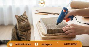 “Dán và cố định sản phẩm theo cách làm bàn cào móng cho mèo bằng giấy carton”