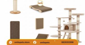 các loại sản phẩm khi tìm hiểu bàn cào móng là gì