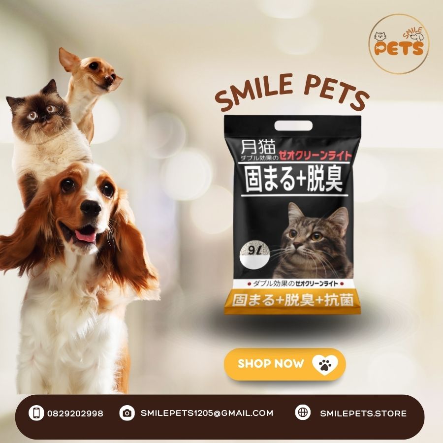 Cát nhật đen Chanh