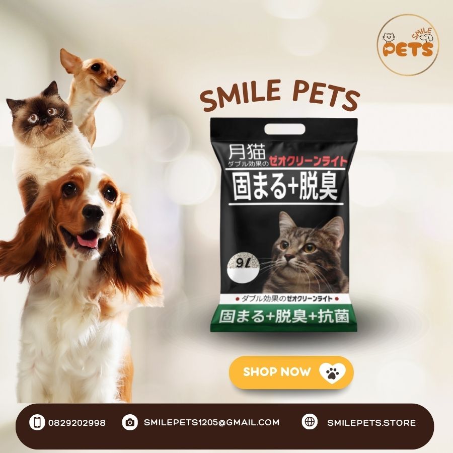 cát nhật đen Táo