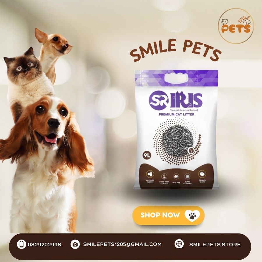 cát vệ sinh IRIS Cafe