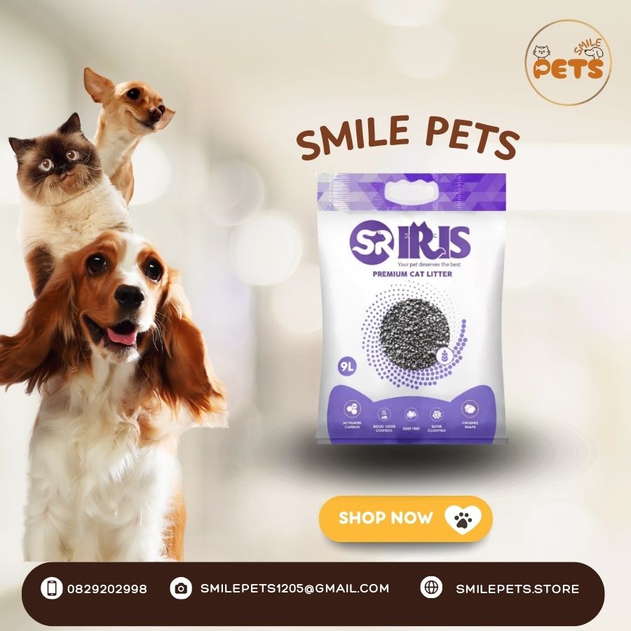 cát vệ sinh IRIS Lavender