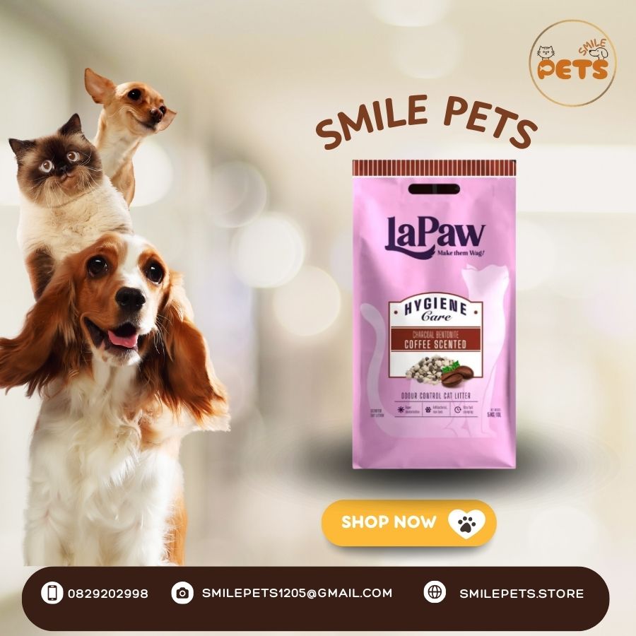 cát vệ sinh LaPaw Cafe