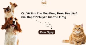 cát vệ sinh cho mèo