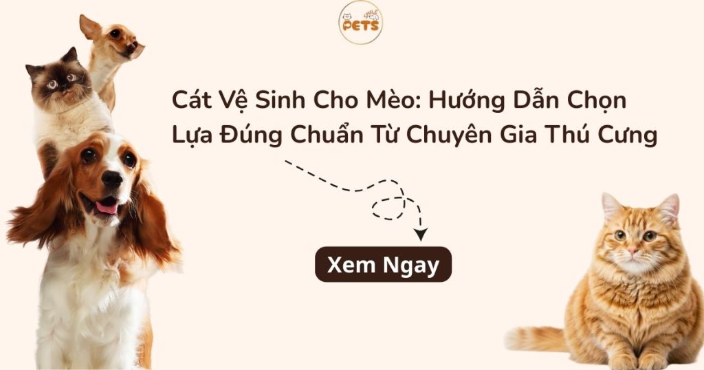 cát vệ sinh cho mèo