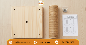 chuẩn bị dụng cụ cho cách lắp bàn cào móng cho mèo