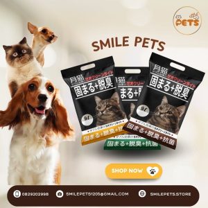 combo 3 túi cát nhật đen