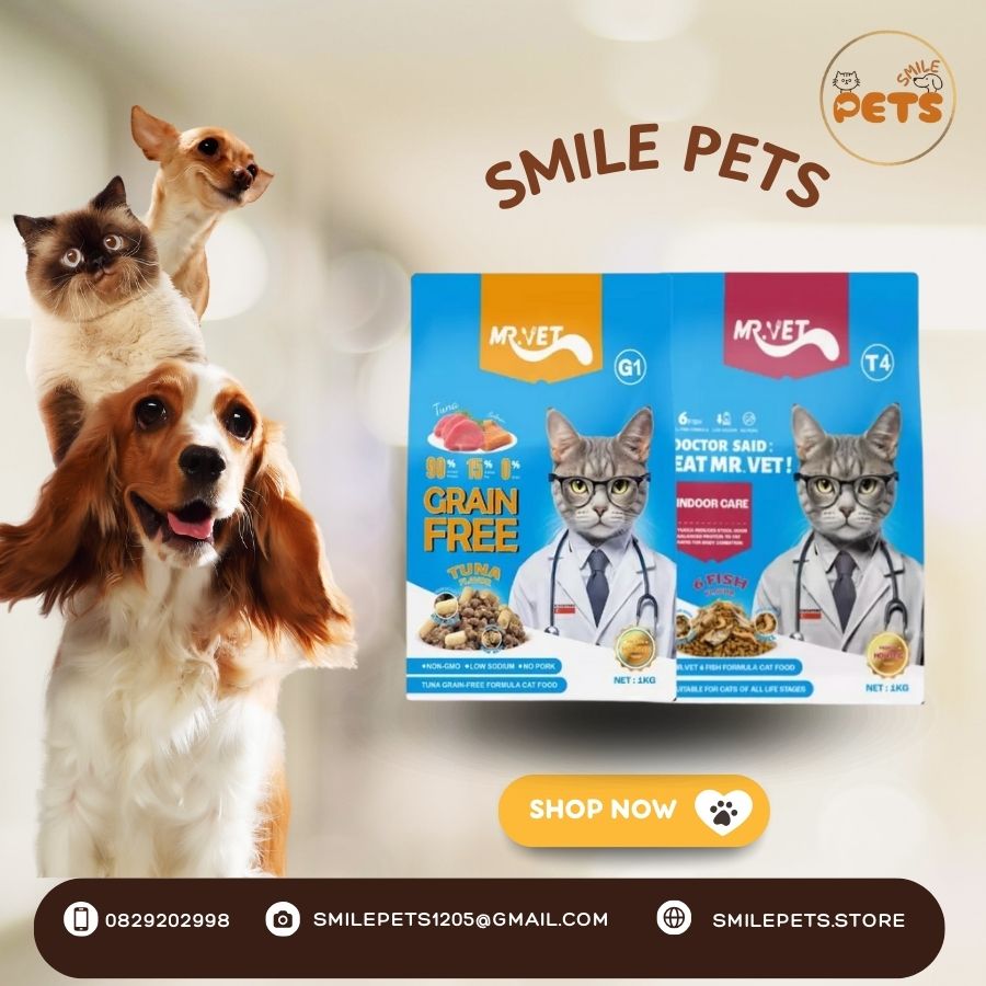 Hạt cho mèo Mrvet phát triển não bộ, cơ bắp tăng cường sức đề kháng cho mèo 1