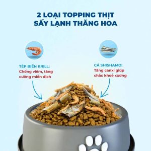 Hạt cho mèo Mrvet phát triển não bộ, cơ bắp tăng cường sức đề kháng cho mèo 3