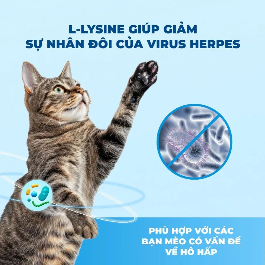 Hạt cho mèo Mrvet phát triển não bộ, cơ bắp tăng cường sức đề kháng cho mèo 5