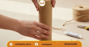 quấn dây sisal theo cách làm bàn cào móng cho mèo bằng dây thừng