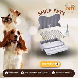 khay-dung-cat-ve-sinh-cho-cho