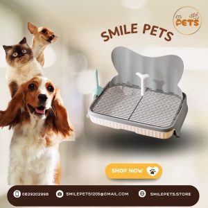 khay-dung-cat-ve-sinh-cho-cho