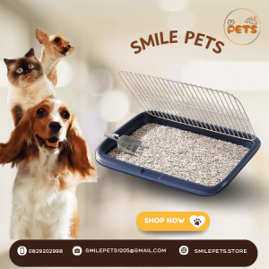 khay-dung-cat-ve-sinh-cho-cho