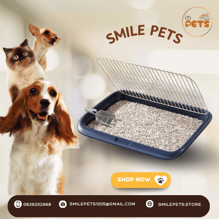 khay-dung-cat-ve-sinh-cho-cho