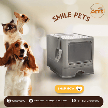 khay-dung-cat-ve-sinh-cho-meo