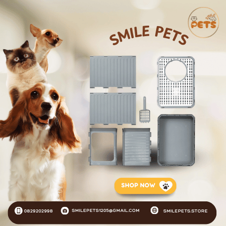 khay-dung-cat-ve-sinh-cho-meo