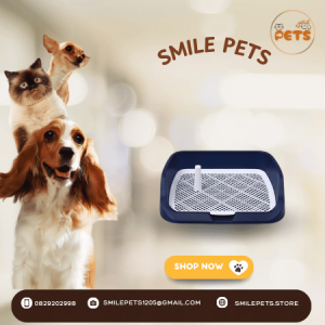 khay-dung-cat-ve-sinh-cho-cho