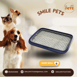 khay-dung-cat-ve-sinh-cho-cho