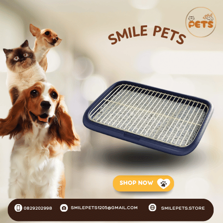 khay-dung-cat-ve-sinh-cho-cho