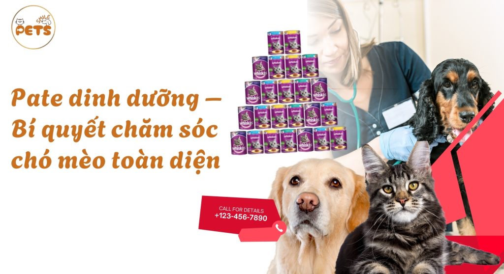Pate dinh dưỡng – Bí quyết chăm sóc chó mèo toàn diện
