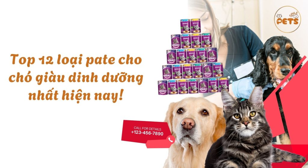 Top 12 loại pate cho chó giàu dinh dưỡng nhất hiện nay